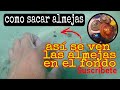 como bucear almejas. aprende a sacar almejas fácilmente.  paso a paso.  (tutorial) muy fácil