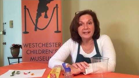 Mini Microscope - WCM At Home