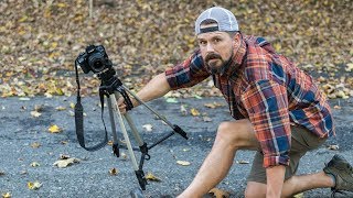 The Running of the Tripod