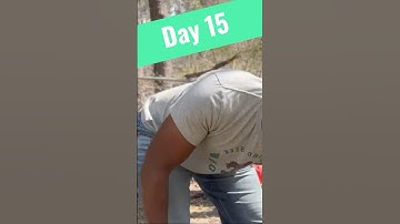 Day 15 of the 18-Day Compost Challenge: Almost There!