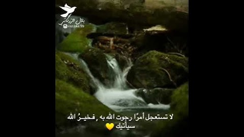 حالات واتس اب//قرآن كريم القارئ وديع اليمني