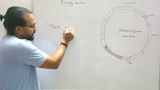 binary vector - short #binaryvector #Plantvector #thelearnigbosters