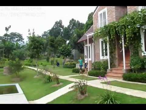 lai farm ba vì Update Lai farm \u0026 Sunny Garden in Ba Vi- Viet Nam
