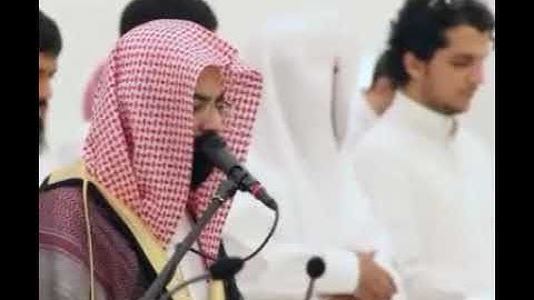 ناصر القطامي تلاوه هادئة😍