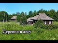 Заброшенная деревня в лесах Ярославской области. Множество брошенных домов