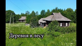 Заброшенная деревня в лесах Ярославской области. Множество брошенных домов