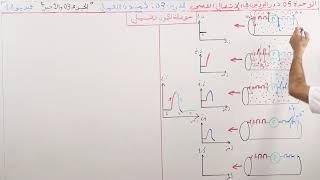 الوحدة 05 : الإتصال العصبي_حوصلة لكمون العمل