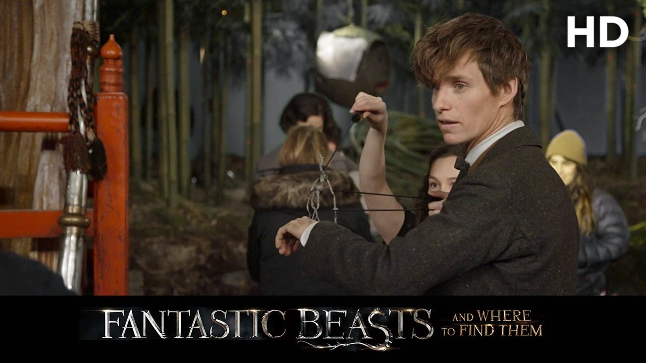 Fantastic Beasts and Where to Find Them (2016) Bowtruckle and