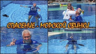 СПАСЕНИЕ - МОРСКОЙ СВИНКИ (4K UHD)