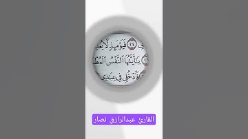 أفضل تلاوه لسورة الفجر