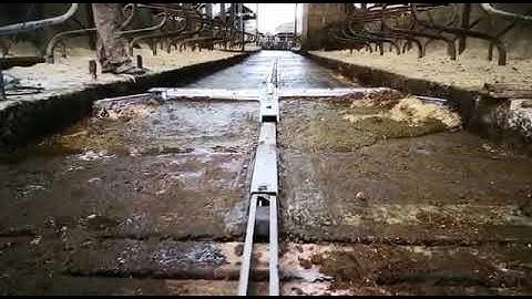 Mayo Automatic Hydraulic Scraper