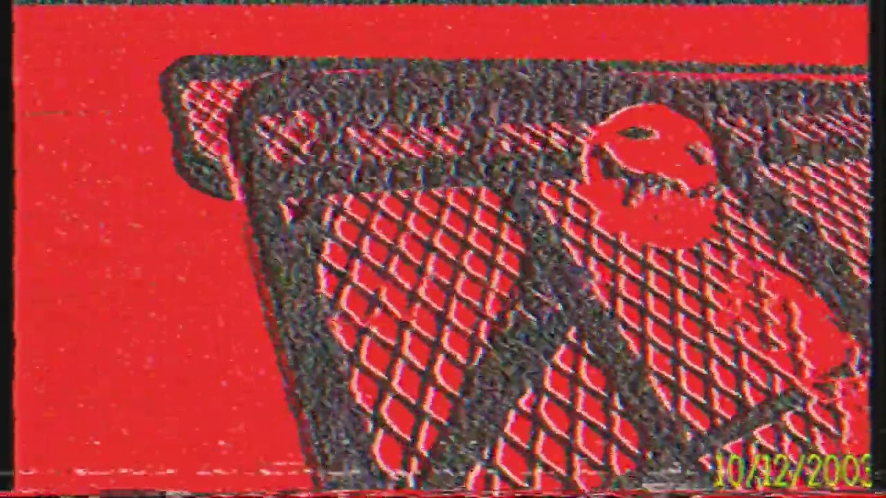 Unexpected visitor for 