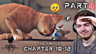 THE FINALE! The heartbreaking conclusion to a wonderful adventure | Stray – Part 4 [END]
