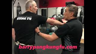 Breaking wrist grabs with simple Wing Chun techniques screenshot 5