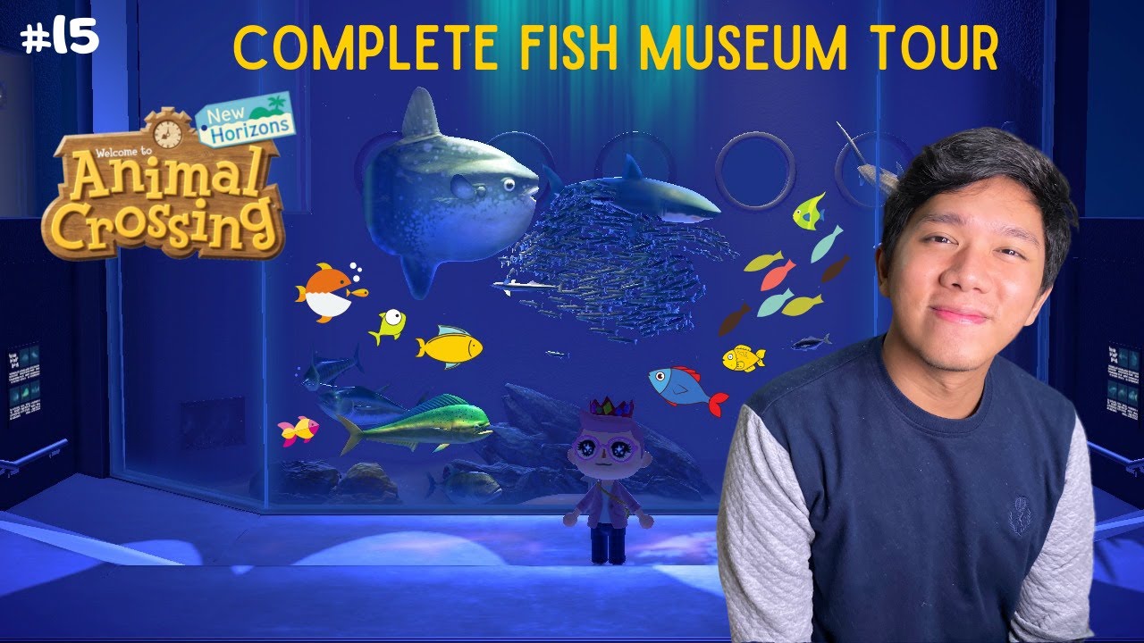 Akhirnya 100 Complete Fish Museum Animal Crossing New