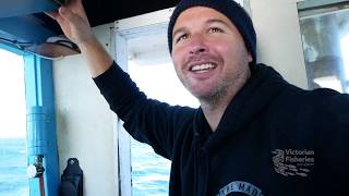 A day in the life of a commercial rock lobster fisherman