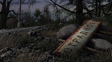 Trip to Otradnoye (in-game cinematic)