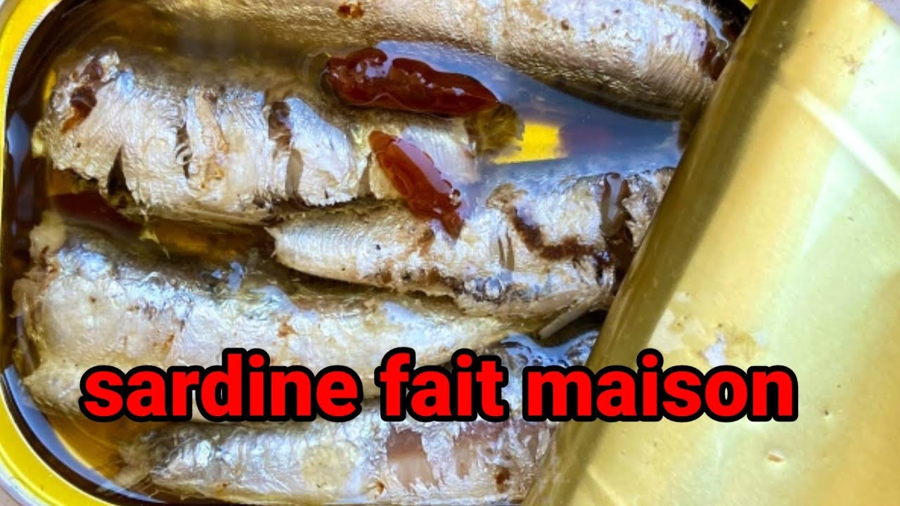 Sardine fait préparer la sardine YouTube