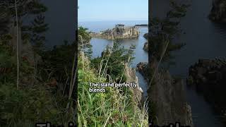 Niigata: Japan's Hidden Gem - Unveiling its Cultural & Natural Wonders