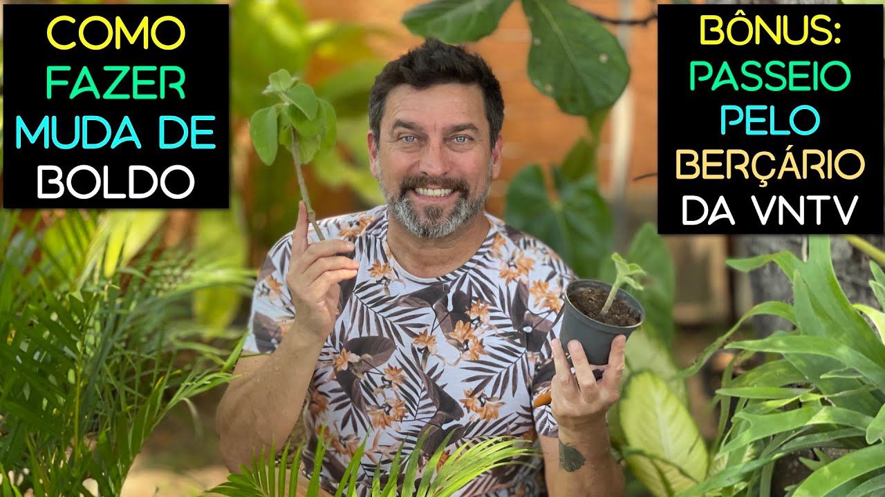 Como Fazer Muda de Boldo (Bônus: Passeio Pelo Berçario VNTV)