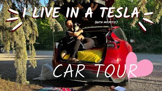 ✨TESLA CAR TOUR✨ (I live FULLTIME in my Tesla Model Y!) #carcamping #vanlife #tinyhome