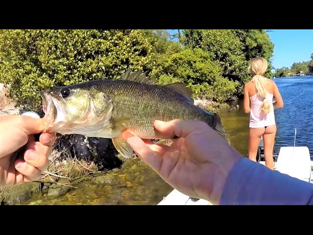 Florida Freshwater Fishing for Largemouth Bass with Topwaters & Swimbaits 