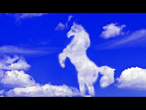 Облака, Белогривые Лошадки.