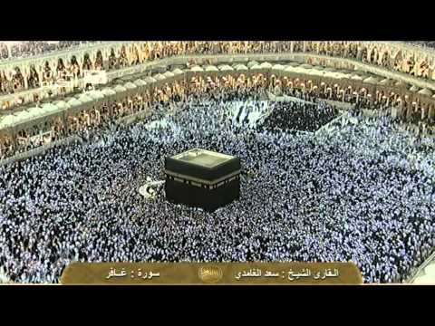 سورة فصلت Fussilat سعد الغامدي Saudi Quran HD 