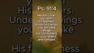Psalm 91 verse 4 - Bible verse of the day Psalm 91 verse 4 - Bible verse of the day