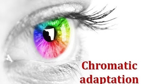 05 Chromatic adaptation to the color blindness correction glasses