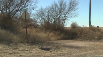 High winds in Roosevelt County turned into tumbleweed nightmare for many