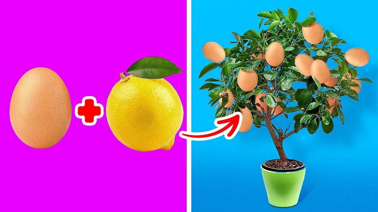 27 UNBELIEVABLE PLANT GROWING TRICKS FOR BEGINNERS