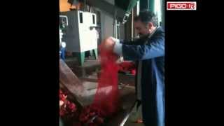 PIGO-R - Pepper processing line