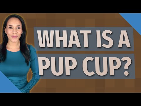 فيديو: ما هو كأس الجرو؟