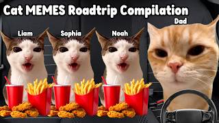 Cat MEMES Roadtrip Compilation Full