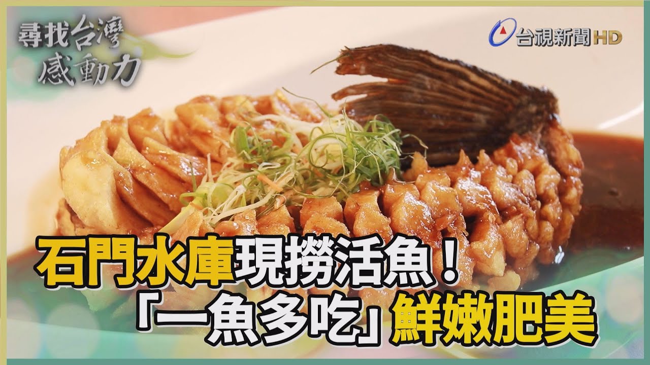 尋找台灣感動力-石門活魚 水庫孕育鮮嫩肥美