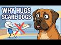 This is Why Boerboels Don't Do Hugs #boerboel