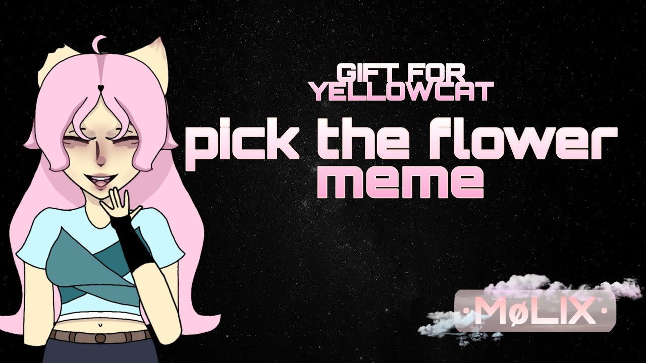 PICK THE FLOWERMEMEGIFT FOR YellowCatWithMiliys_ YouTube