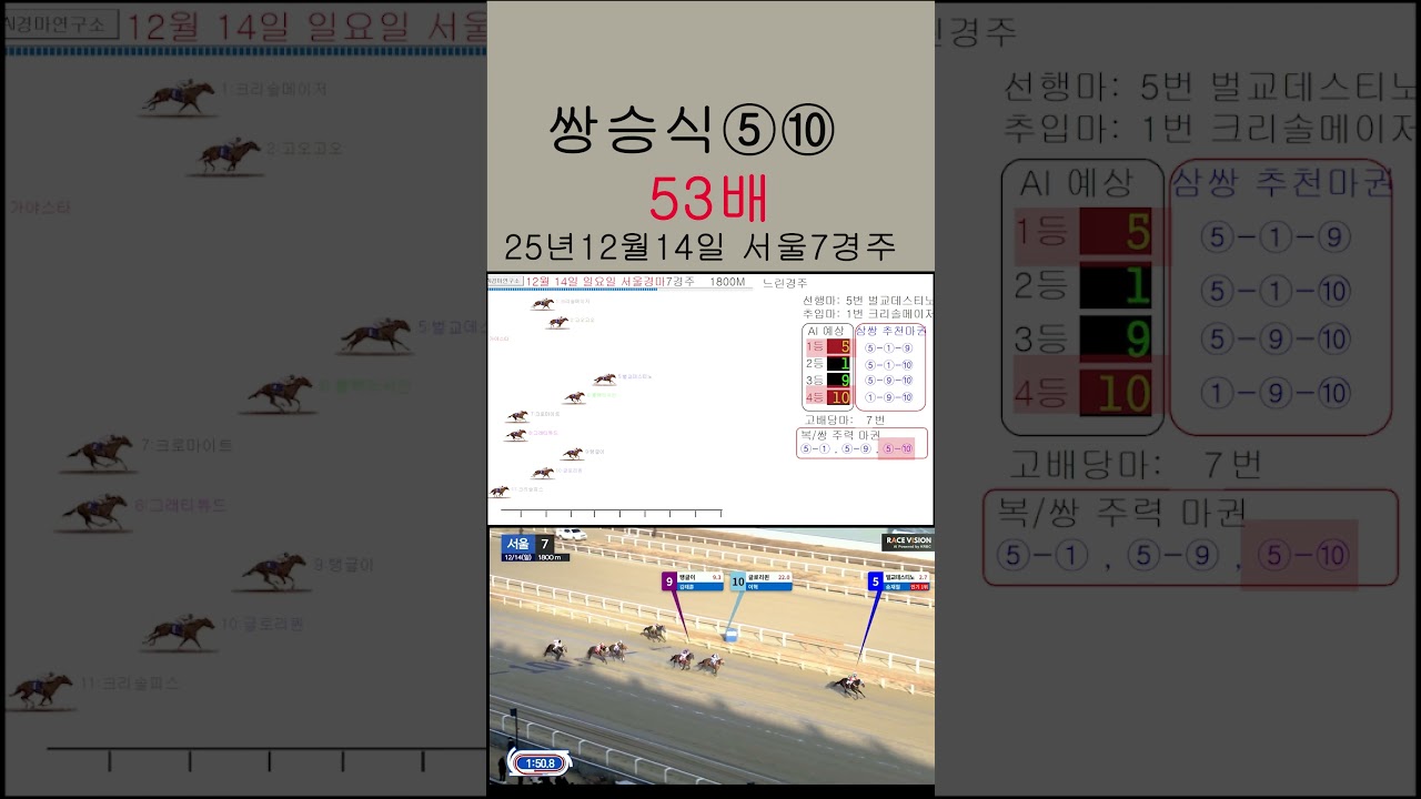 쌍승식 53배 적중 12월 14일 서울 7경주