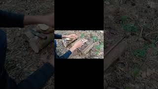 We cook food on coals  Camping  Bushcraft  Shorts