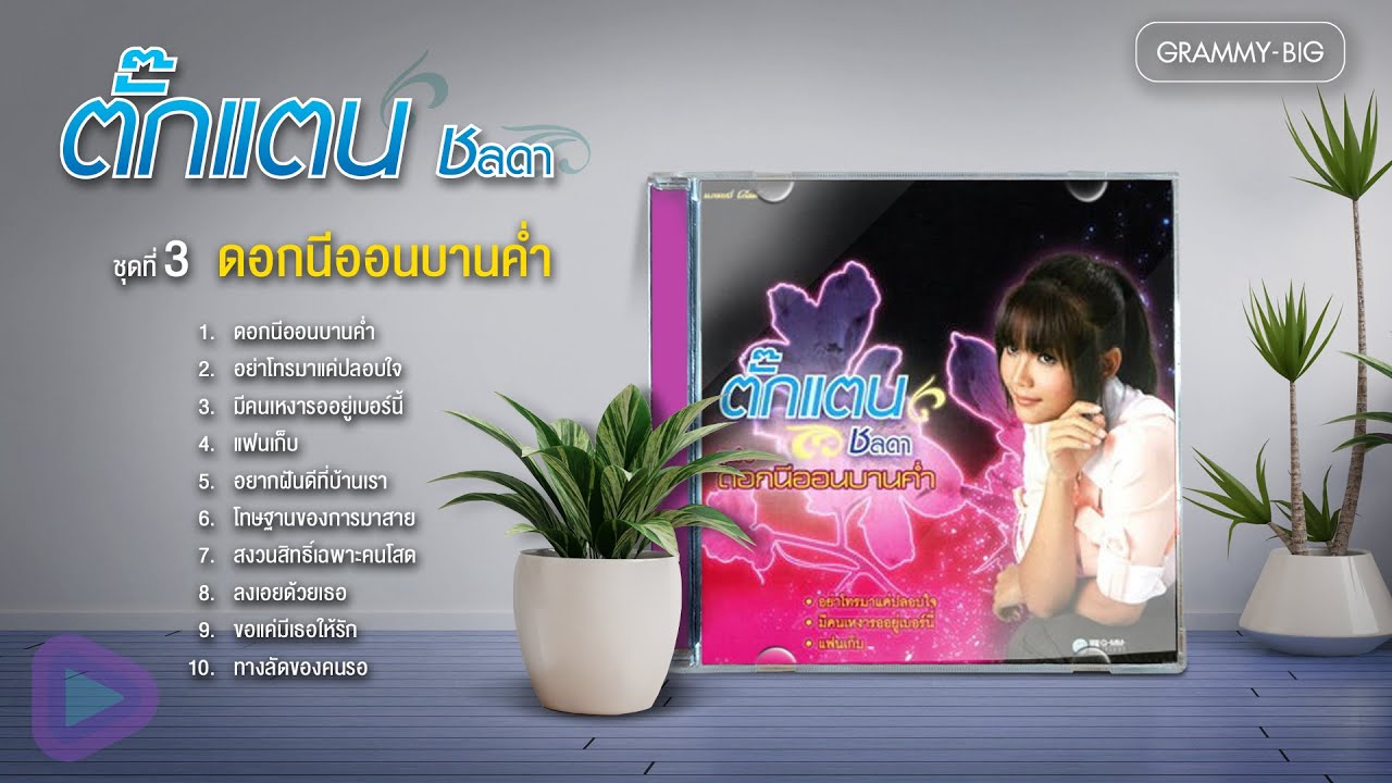 ตั๊กแตน ชลดา ชุดที่ 3 ดอกนีออนบานค่ำ l อย่าโทรมาแค่ปลอบใจ, มีคนเหงารออยู่เบอร์นี้, แฟนเก็บ