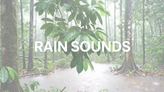 Heavy Rain in Tropical Forest | Static ASMR for Relaxing & Sleep