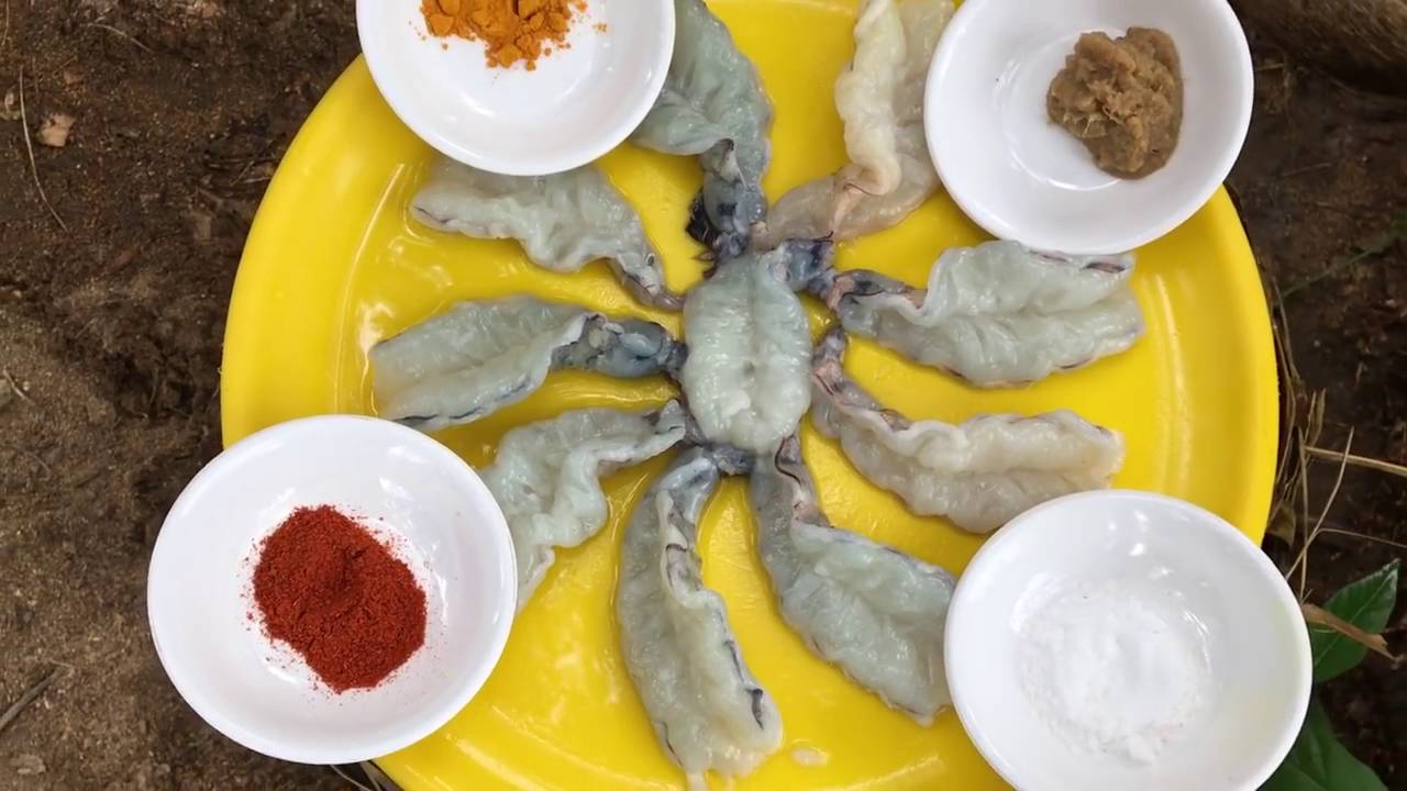 Shrimp Fishing Prawns Fishing Great fresh shrimp Shrimp and my