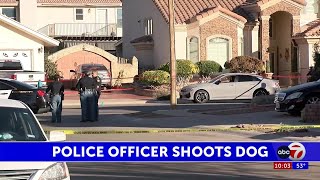 Pit bull seriously injured after it was shot by El Paso Police in far east El Paso