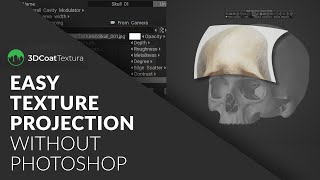 3DCoat Textura - Texture Projection without Photoshop