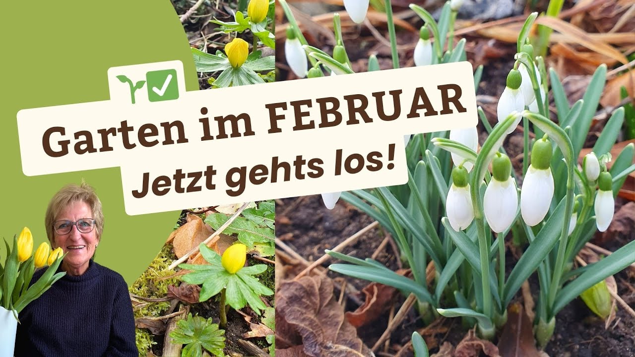 Gartenarbeiten Im Februar
