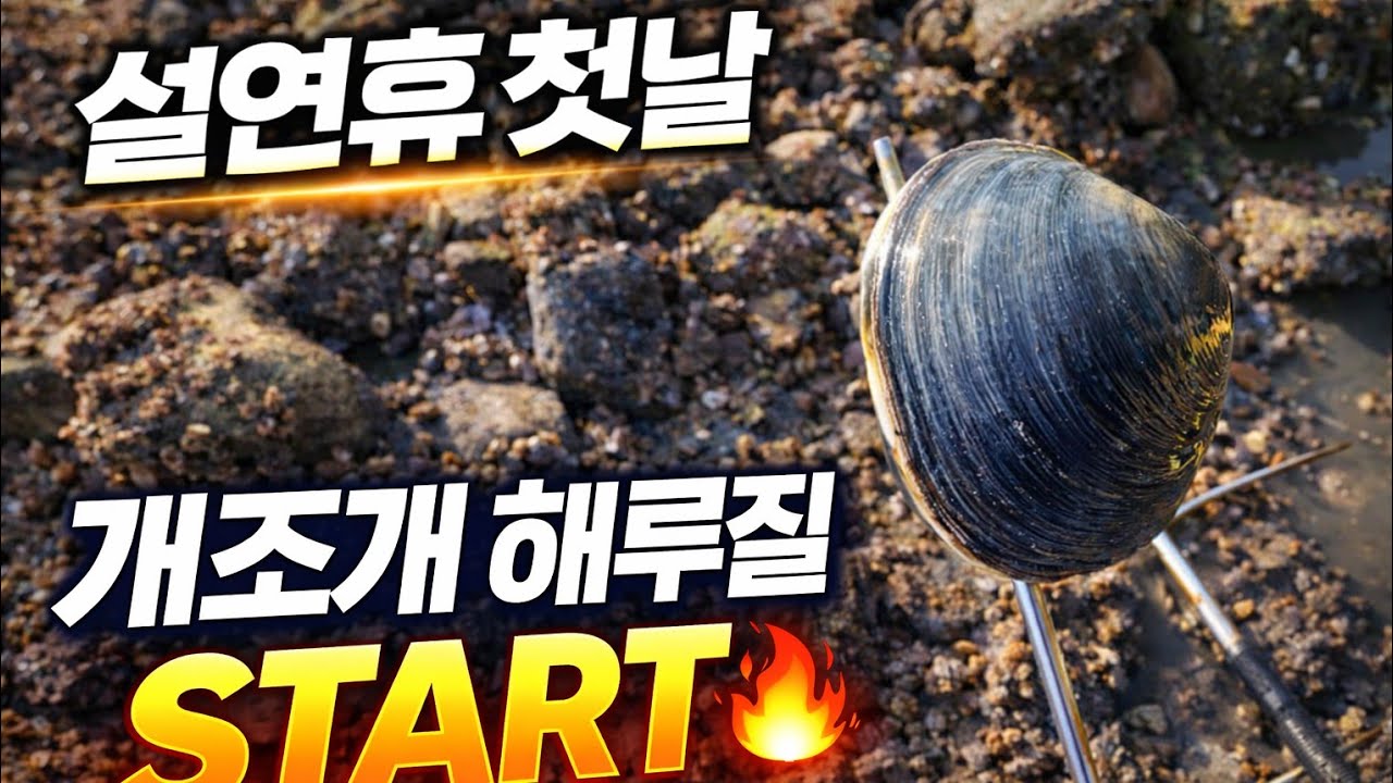 26년 설 연휴 첫날~ 해루질 출동! 개조개+해삼 잡으러 갑니다!