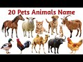 20 पालतू जानवरों की दुनिया |20 Pets Namesin English for Kids Early Learning and Vocabulary Building