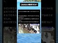 #ニュース #政治 #高市早苗 #自民党 #税金 #移民