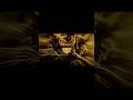 RXF - MESTRE DE PHONK | #beats #phonk #phonkmusic #phonkagressive #fypシ #fyp #fypシ゚viral #fypage